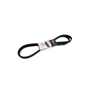 Correia (6PK2270) Gl/Prt/Snt/Qtm/Sv 93 04