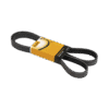 Correia (13X860)