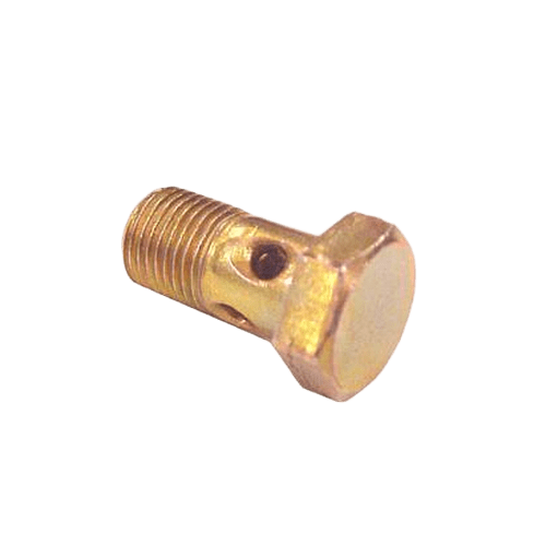 Parafuso Oco Tubo Inj. 10Mm (FF31406)(BR399)