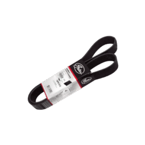 Correia (10PK1510) Gates