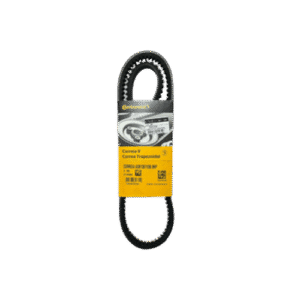 Correia (13X1100) Besta 2.2 Diesel 93