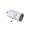 Filtro Diesel (PSC493) Iveco Daily