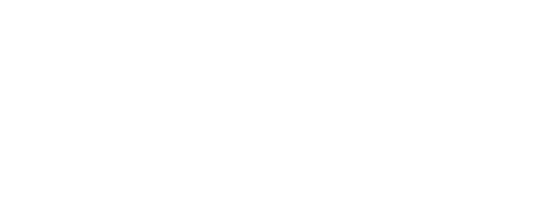 ICONE BOLD LOGO 2x1